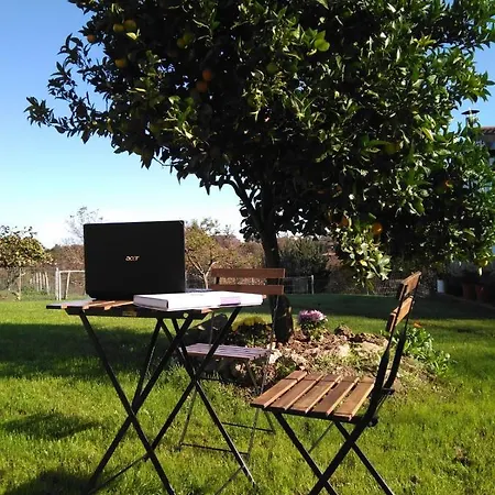 Gospodarstwo wiejskie El Llagar - Sagasta Rural *