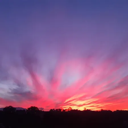 El Llagar - Sagasta Rural