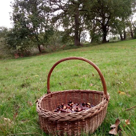 El Llagar - Sagasta Rural Kır Evi Oviedo