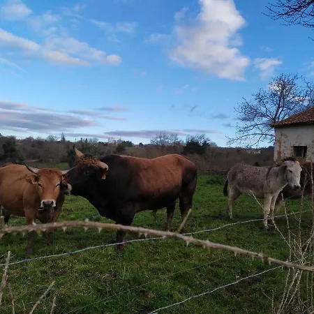El Llagar - Sagasta Rural Country house Oviedo