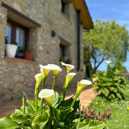 El Llagar - Sagasta Rural * Oviedo