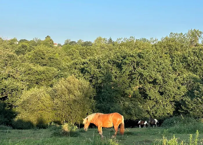 Country house El Llagar - Sagasta Rural Oviedo